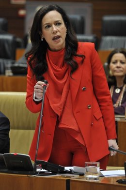 La consejera de Salud y Servicios Sociales, Sara García Espada, en el pleno de la Asamblea