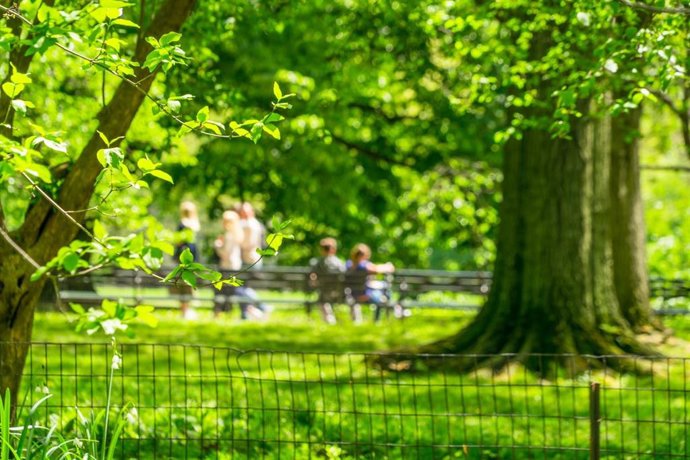 MITECO recibe propuestas para 300 millones en ayudas de renaturalización y digitalización, que disponen de 54,6 millones.