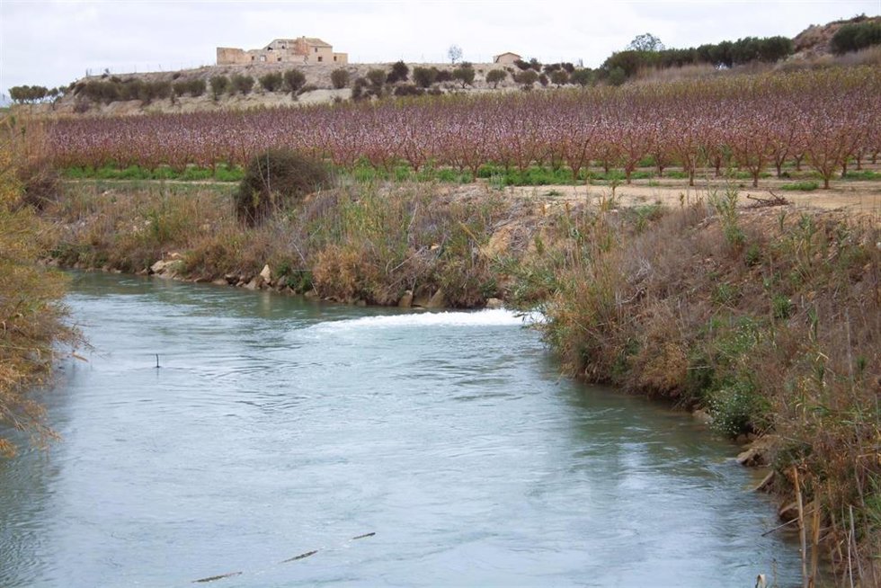 Archivo - Cauce del río Segura a su paso por Calasparra