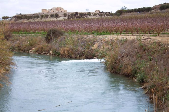 Archivo - Cauce del río Segura a su paso por Calasparra