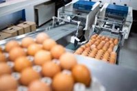 La Generalitat destina 20 millones a mejoras de procesos en industrias agroalimentarias