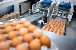 Una indústria agroalimentària