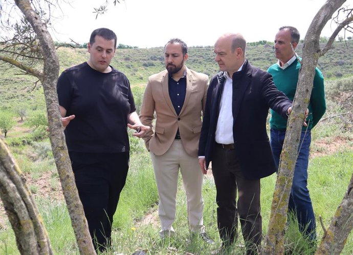 El portavoz adjunto de Vox, Santiago Morón, visita los olivares monumentales de Ainzón.