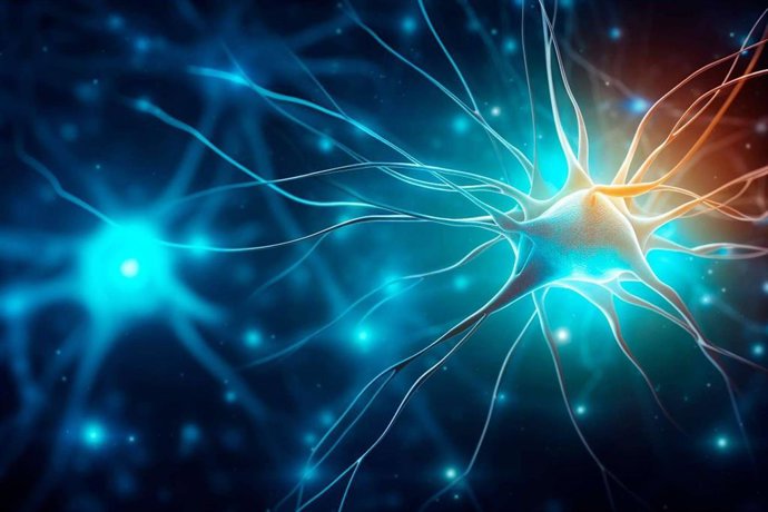 Neurociencias, psicología e inteligencia emocional avanzada; ciencia al servicio profesional