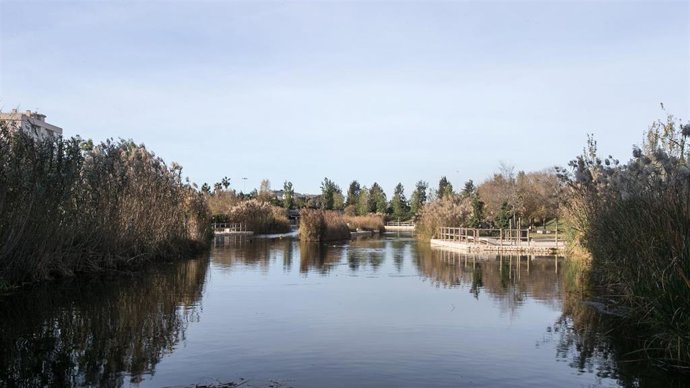 Archivo - Aguas de Alicante premiará al mejor cortometraje medioambiental en el Festival de Cine de Alicante