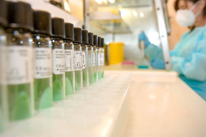 Andalucía.-SAS habilita un depósito de la triple vírica en cada provincia para reforzar la vacunación ante el sarampión