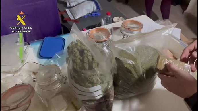 Cannabis intervenido