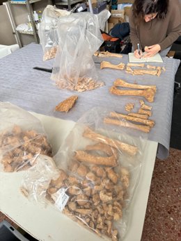 Análisis de esqueleto