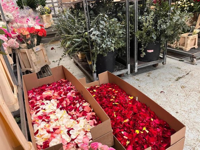 L'Ajuntament de València encarrega 20 caixes de pètals de flor per a compañar el trasllat de la Mare de Déu