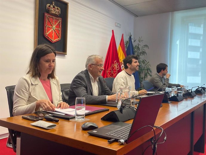 El vicepresidente Félix Taberna y Patricia Abad en su comparecencia en el Parlamento de Navarra