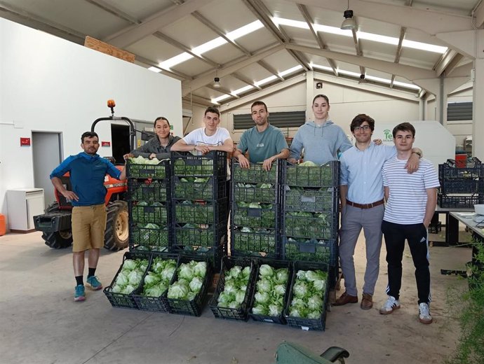 Donadas a la Cocina Económica 200 lechugas de los campos de experimentación agrícola de la Universidad de La Rioja