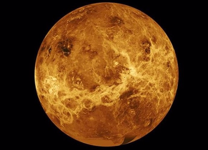 Archivo - Venus