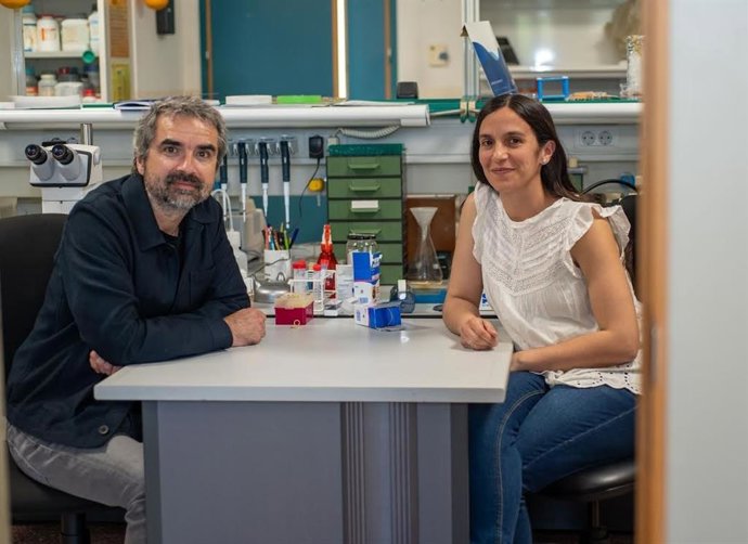 El Instituto de Neurociencias, centro mixto de la UMH y CSIC, participa en una investigación sobre el síndrome de ovario poliquístico financiada por La Marató de 3Cat