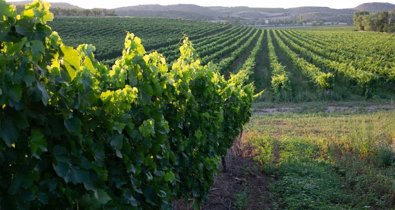 La Rioja