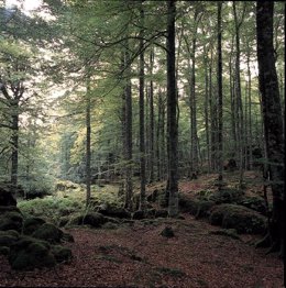 Paraje de Urbasa-Andia.