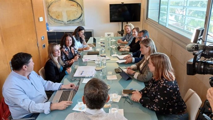 Reunión del IbDona con los Consells insulares para reforzar la atención a las víctimas de violencia machista.