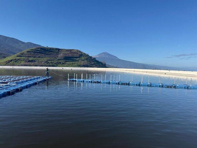 Las balsas de Tenerife alcanzan el 71% de su capacidad en mayo de 2025