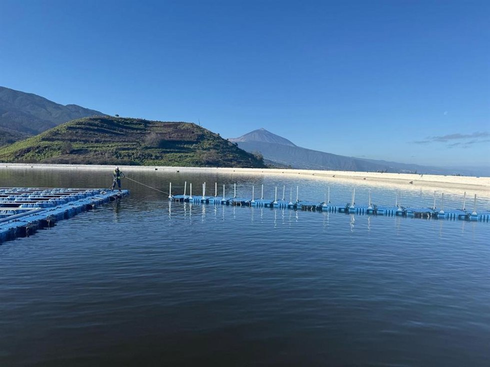 Las balsas de Tenerife alcanzan el 71% de su capacidad en mayo de 2025