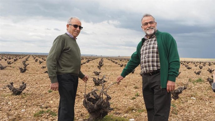 Los Premios de Viticultura 'El alma del vino' reconocen la excelencia de los profesionales de la provincia de Valladolid