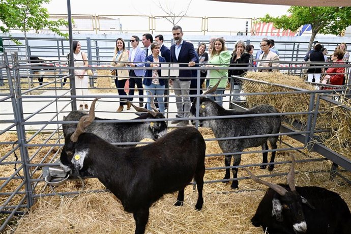 El consejero de Agricultura, Pesca, Agua y Desarrollo Rural, Ramón Fernández-Pacheco, durante su visita a la Feria Ganadera de La Carolina