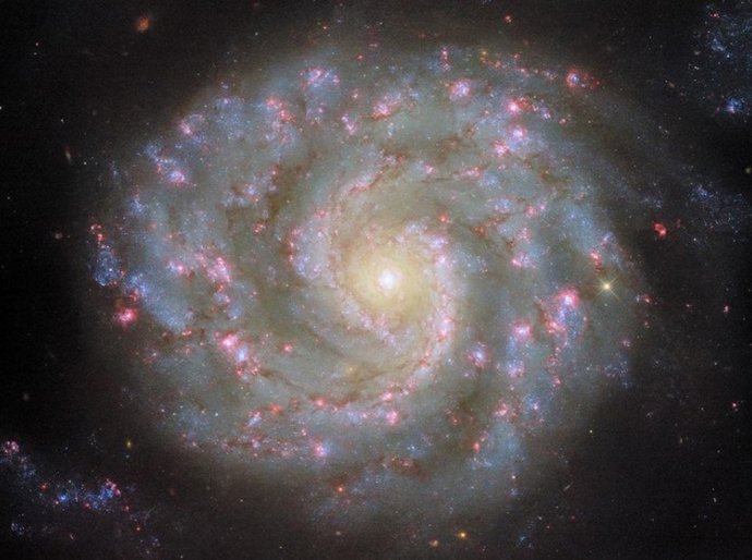 Esta imagen del telescopio espacial Hubble muestra la galaxia espiral NGC 3596.