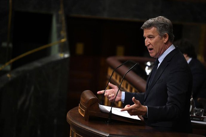 El presidente del PP, Alberto Núñez Feijóo, interviene durante una sesión plenaria, en el Congreso de los Diputados, a 7 de mayo de 2025, en Madrid (España).
