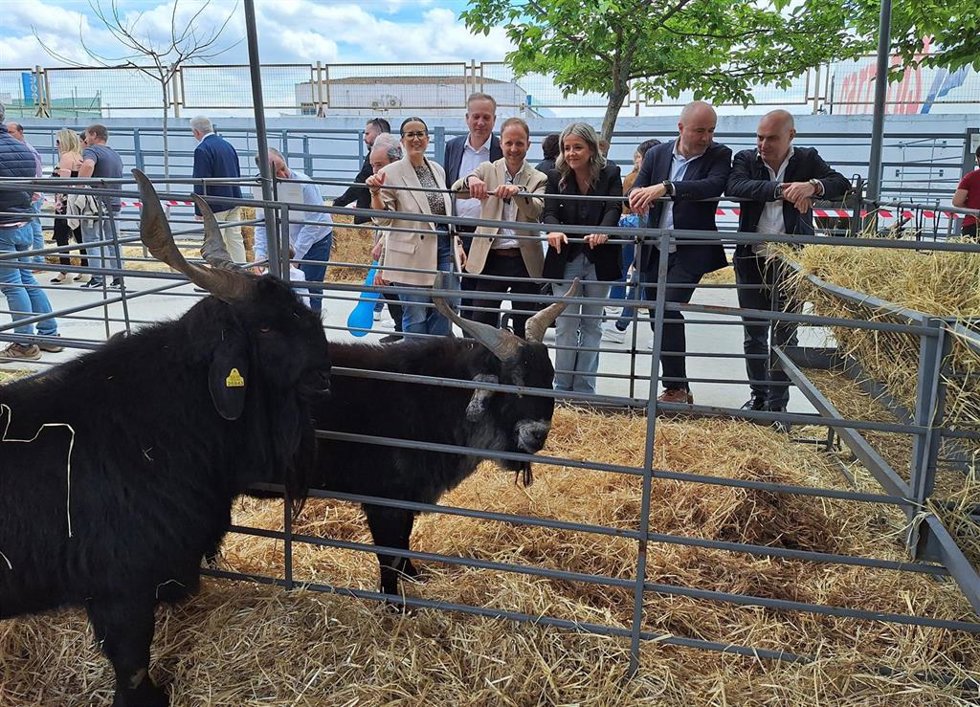 Jaén.- El PP de Jaén reclama una Política Agraria Común (PAC) que "fortalezca el sector y no lo castigue"