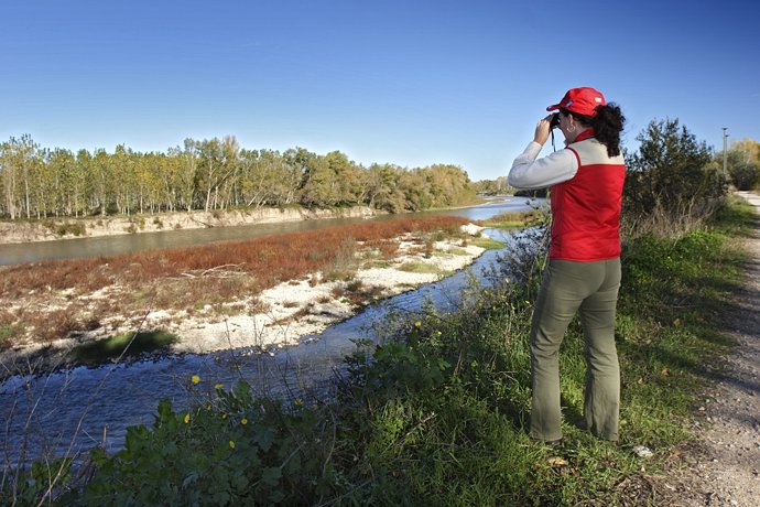 Archivo - 'Pasea La Rioja' despide el fin de semana a las cigüeñas de la reserva natural de los Sotos de Alfaro