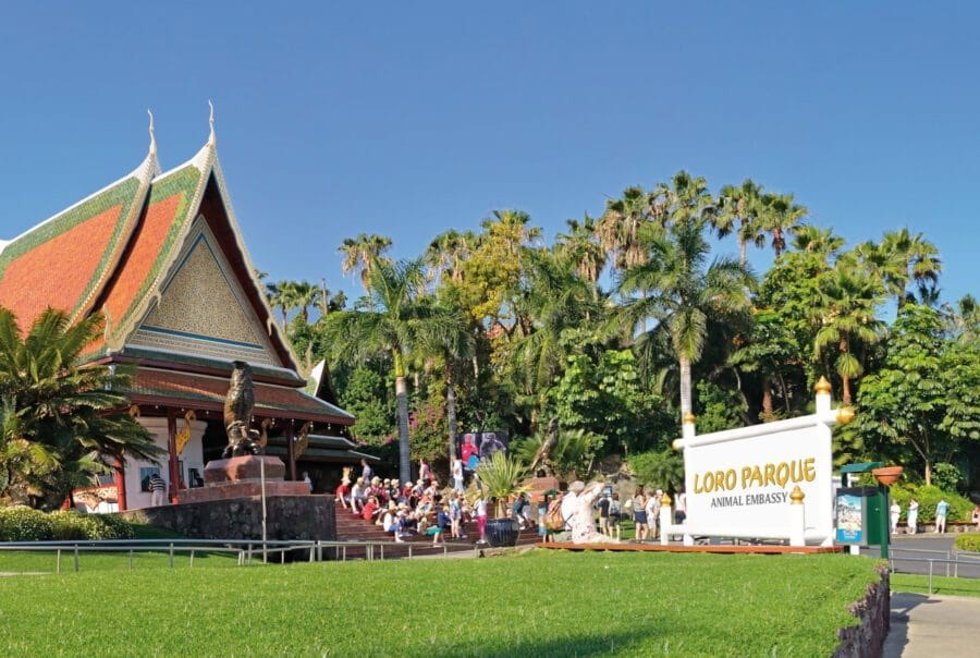 El Grupo Loro Parque renovará su compromiso de patrocinio con el CDT para reafirmar su "apoyo incondicional"