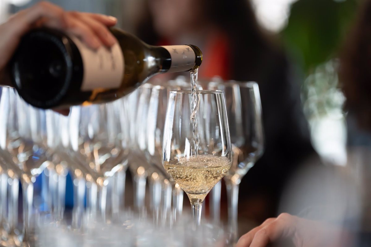 Mayoría en el Congreso para declarar el 7 de mayo como Día Nacional del Vino