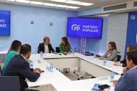 El PP defenderá el martes en el Congreso que el Gobierno mejore la movilidad de la Costa del Sol
