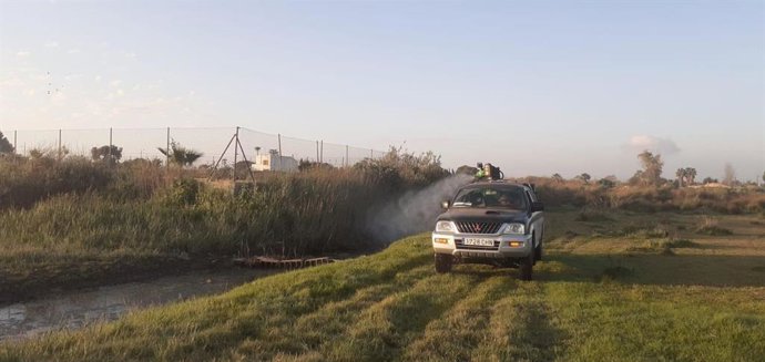 Castelló continúa con labores de prevención contra mosquitos en zonas de marjal, el Grao y los imbornables