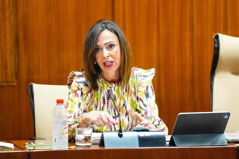 La consejera de Fomento, Articulación del Territorio y Vivienda, Rocío Díaz, en comisión parlamentaria a fecha de 29 de abril de 2025.