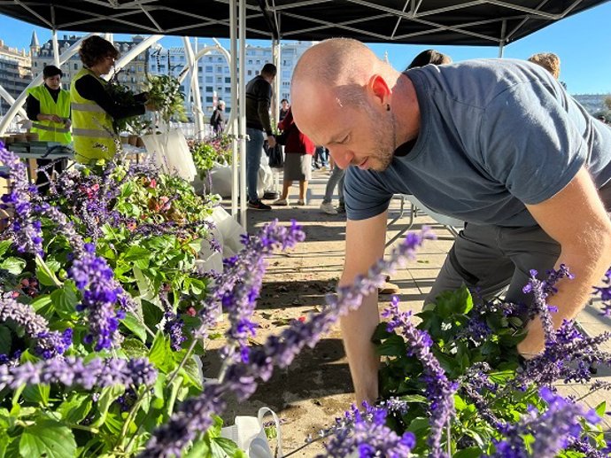 Lore eta landare banaketa Donostian