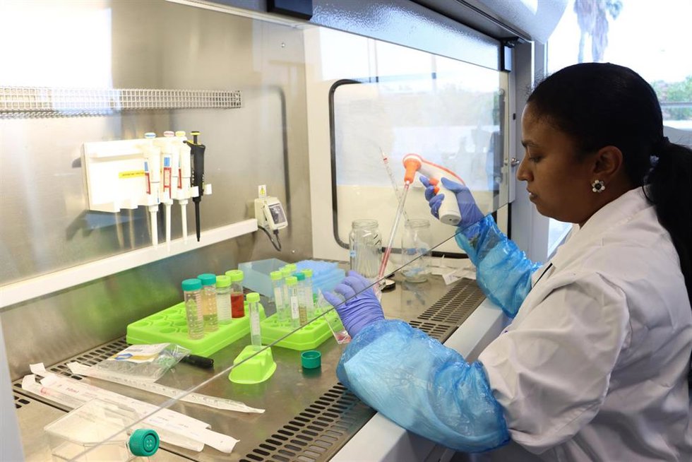 La investigadora Lakshmi Jeevithan en uno de los laboratorios de la Universidad Católica de Murcia