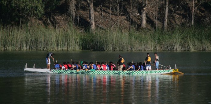 Un grupo de jóvenes participa en una actividad deportiva al aire libre.