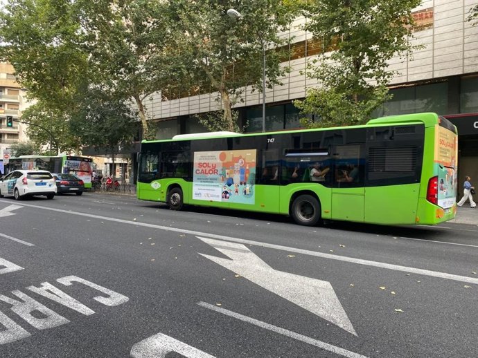 Archivo - Un autobús en una imagen de Córdoba.