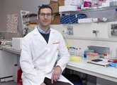 Foto: Estudian bases moleculares de envejecimiento para identificar relación entre reparación celular y respuesta inflamatoria