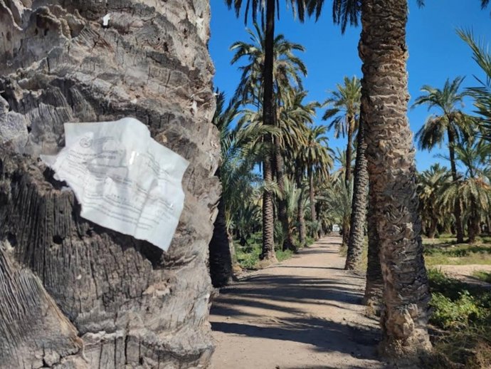 Margalló Ecologistes en Acció pide la "retirada inmediata" del glifosato en huertos y parques de Elche (Alicante)