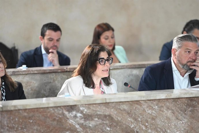 La concejala de Economía, Innovación y Contratación del Ayuntamiento de Almería, Vanesa Lara, durante la sesión plenaria.