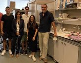 Foto: Identifican un mecanismo para revertir déficits de memoria en fases tempranas de Alzheimer
