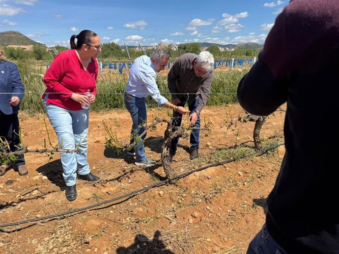 Barrachina: "Instamos al Ministerio de Agricultura a declarar zona catastrófica los municipios afectados por las tormentas de granizo de la pasada semana"