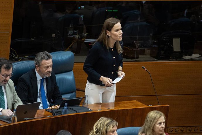 Archivo - La portavoz de Vox en la Asamblea de Madrid, Isabel Pérez Moñino-Aranda.