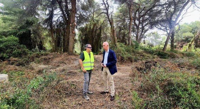 Archivo - Arxiu - València.- L'Ajuntament signa la renovació del permís per al control de senglars a l'Albufera