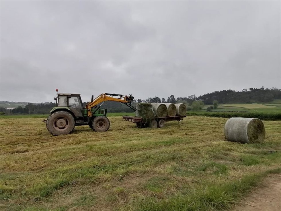 Archivo - Trabajos en el campo asturiano.
