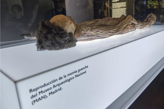 Archivo - Réplica de la momia de Erques que se exhibe en el MUNA