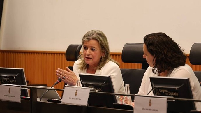 La diputada foral vizcaína de Empleo, Cohesión Social e Igualdad, Teresa Laespada