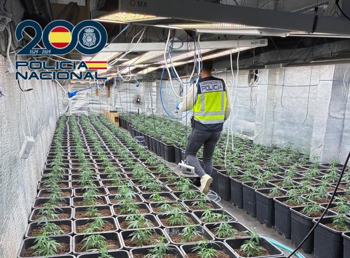 Droga intervenida por la Policía