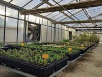 Transición Ecológica impulsa más de 100 eventos como coloquios o visitas en la Semana de la Administración Abierta