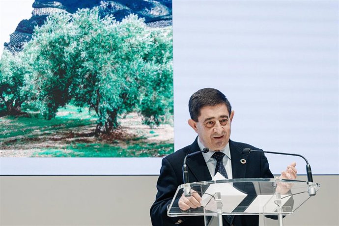 Archivo - El presidente de la Diputación de Jaén, Francisco Reyes, en una imagen de archivo.